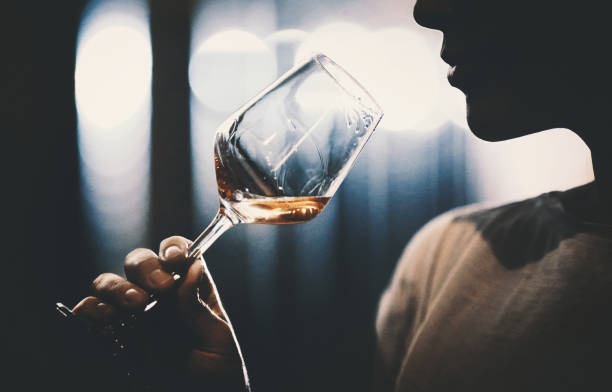 Основы сомелье: история виноделия, дегустация, сочетание вина и еды.